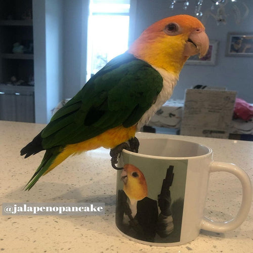 Crown and Paw - Mug The Rebel - Custom Mug 11oz