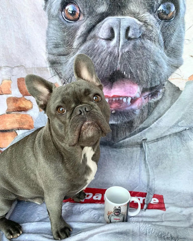 safe haven for dogs - dog blanket