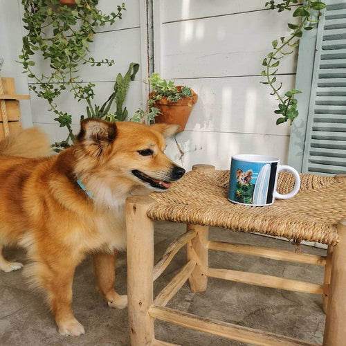 Crown and Paw - Mug The Surfer - Custom Mug