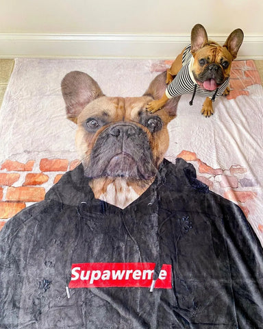 dog with personalized blanket