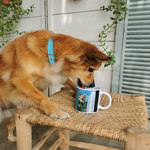 Crown and Paw - Mug The Surfer - Custom Mug