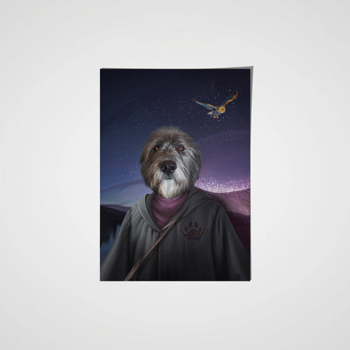 collection-meta-image