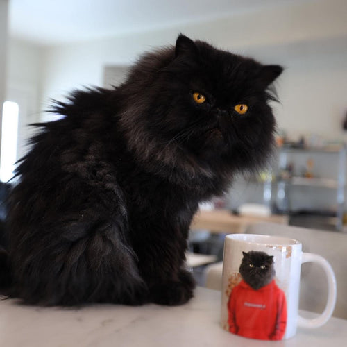 Crown and Paw - Mug The Hypebeast - Custom Mug