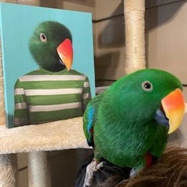 Crown and Paw - Canvas The Green Candy Cane - Custom Pet Canvas