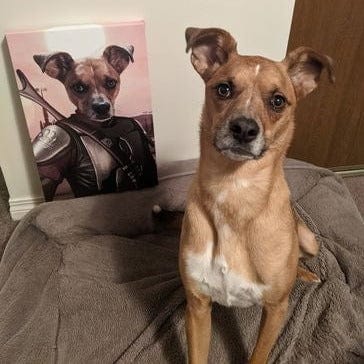 Crown and Paw - Blanket The Space Hunter - Custom Pet Blanket