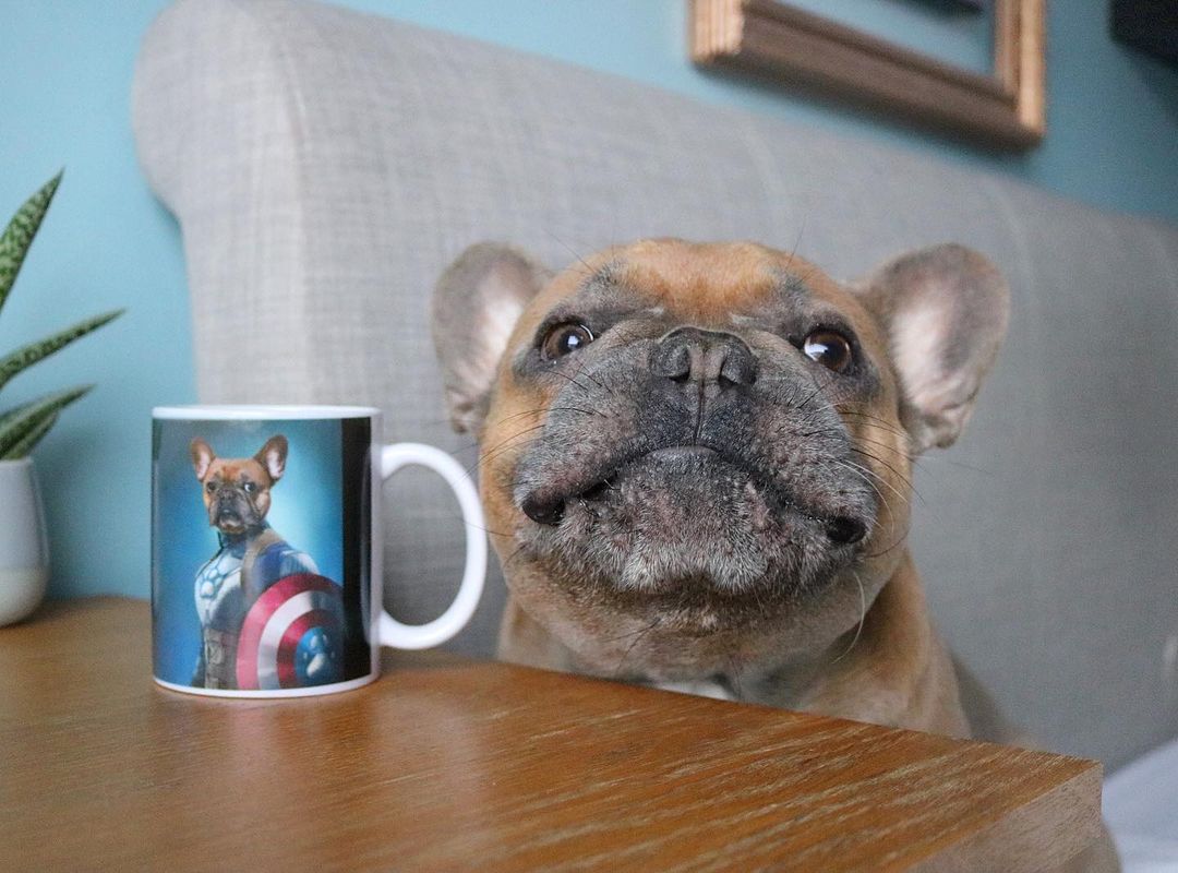 Captain Pawmerica Custom Pet Mug