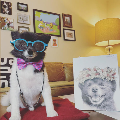 Crown and Paw - Canvas Foliage Pet Portrait - Custom Canvas 8" x 10" / White