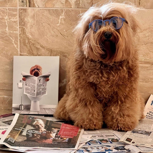 Crown and Paw - Canvas Restroom Pet Portrait - Custom Pet Art