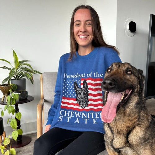 Crown and Paw - Knitwear Limited Edition! 4th of July Flag Knitted Sweater