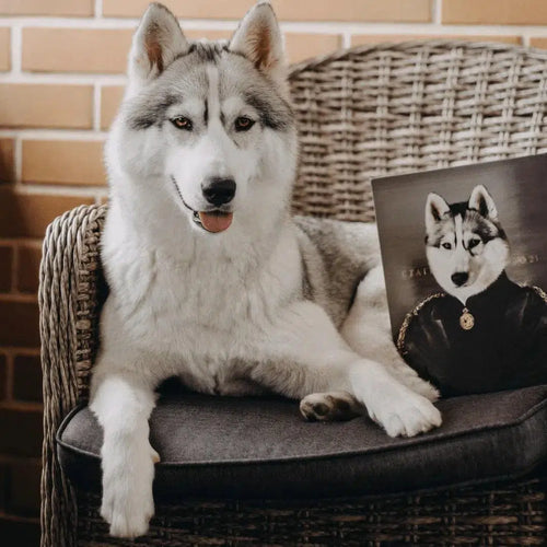 Crown and Paw - Canvas The Duchess - Custom Pet Canvas