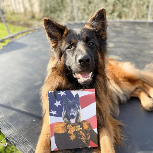 Crown and Paw - Canvas The Veteran - USA Flag Edition - Custom Pet Canvas
