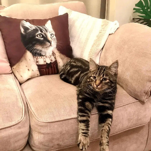 Crown and Paw - Throw Pillow The Young King - Custom Throw Pillow