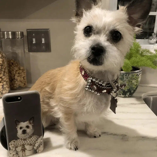 Crown and Paw - Phone Case The Princess - Custom Pet Phone Case