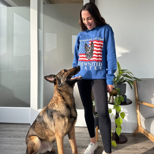 Crown and Paw - Knitwear Limited Edition! 4th of July Flag Knitted Sweater