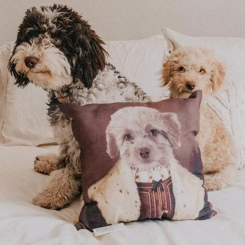 Crown and Paw - Throw Pillow The Young King - Custom Throw Pillow