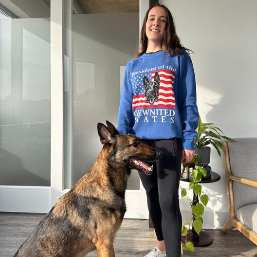 Crown and Paw - Knitwear Limited Edition! 4th of July Flag Knitted Sweater