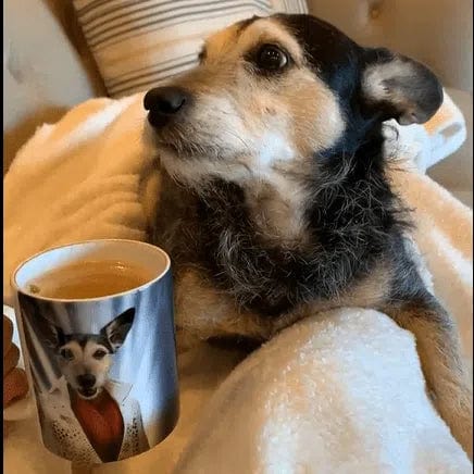 Crown and Paw - Mug The Rock God - Custom Mug 11oz