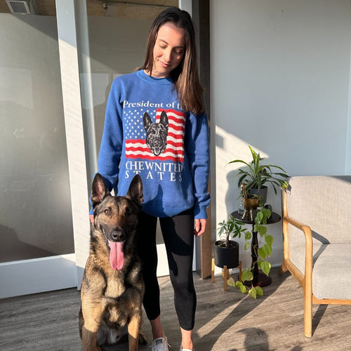 Crown and Paw - Knitwear Limited Edition! 4th of July Flag Knitted Sweater