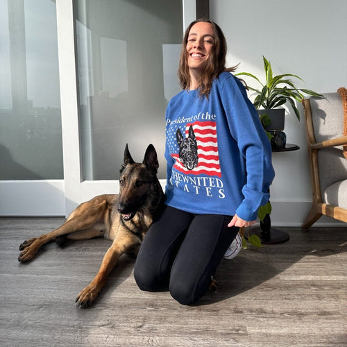 Crown and Paw - Knitwear Limited Edition! 4th of July Flag Knitted Sweater