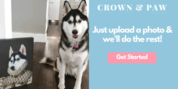 Husky with custom pet portrait