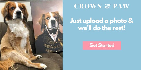 The General Pet Portrait Blog Banner