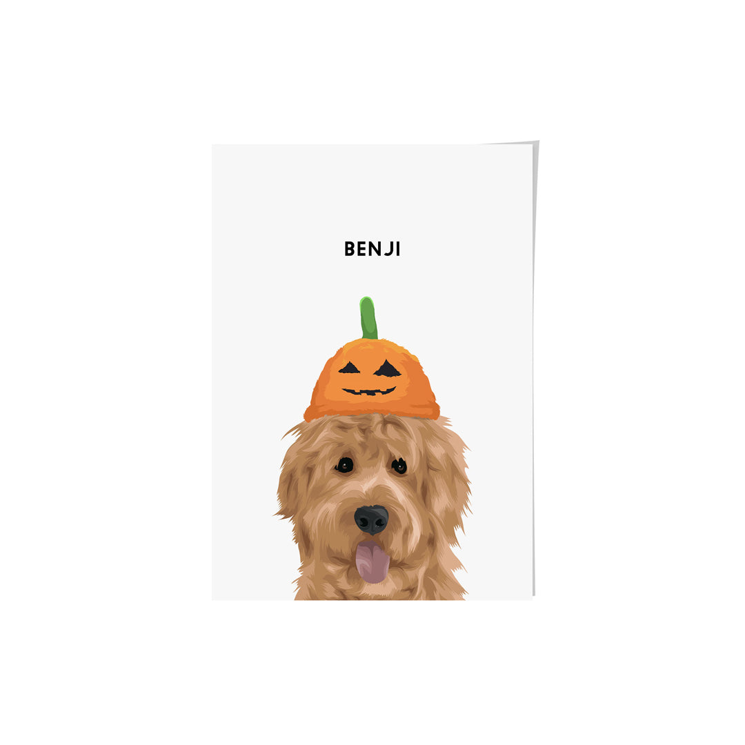 Modern Pet Portrait - One Pet