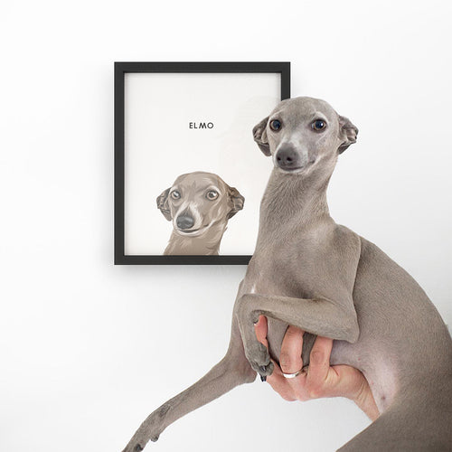 promotion-image