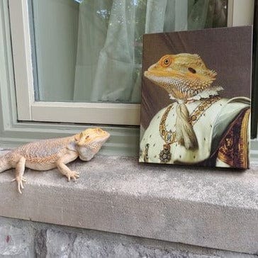 Crown and Paw - Canvas The Emperor - Custom Pet Canvas
