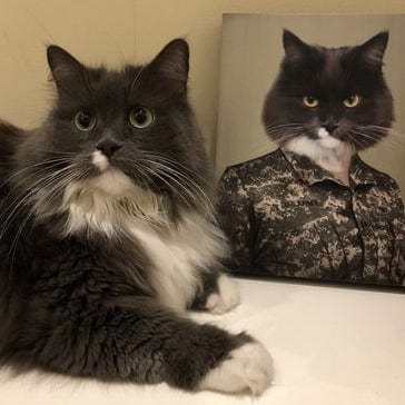 Crown and Paw - Canvas The Army Woman - Custom Pet Canvas