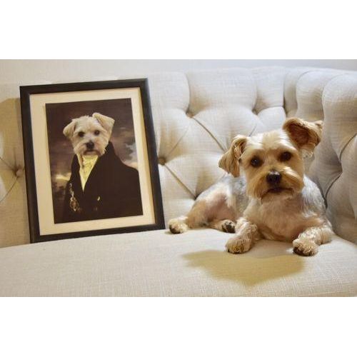 Crown and Paw - Poster The Count - Custom Pet Poster