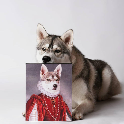 collection-meta-image