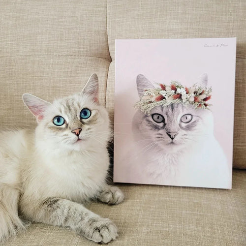 collection-meta-image-2