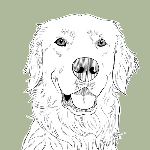 Illustrated Pet Portraits