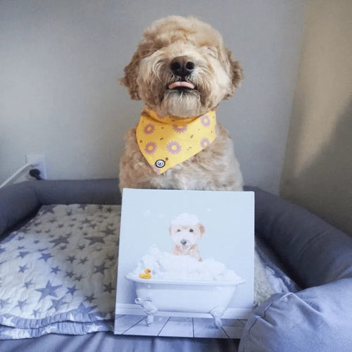 Crown and Paw - Canvas Bath Tub Pet Portrait (One Pet) - Custom Pet Art