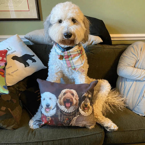 Crown and Paw - Throw Pillow The Three Queens - Custom Throw Pillow
