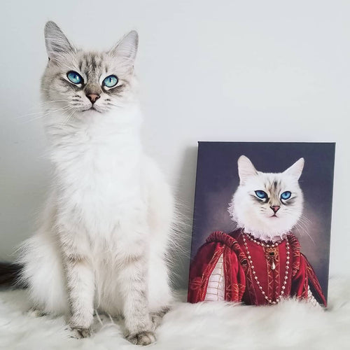 collection-meta-image-1