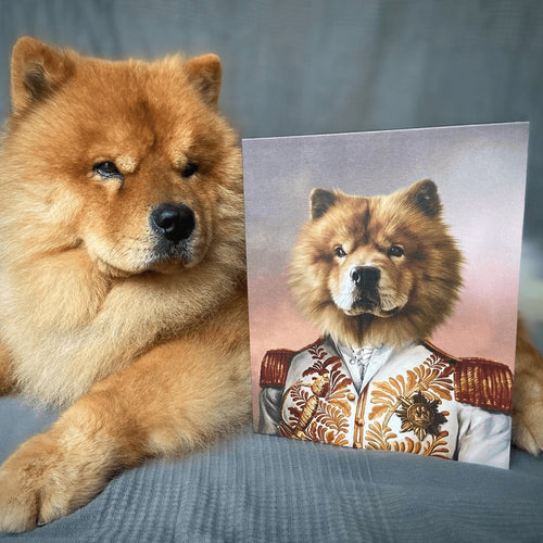 collection-meta-image-2