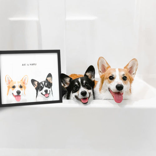 collection-meta-image-1
