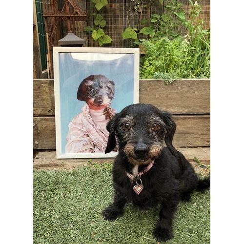 Crown and Paw - Poster The Queen Regent - Custom Pet Poster