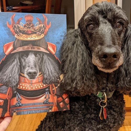 Crown and Paw - Canvas The Samurai - Custom Pet Canvas