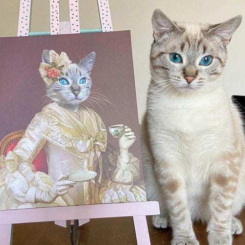 collection-meta-image