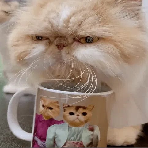 Crown and Paw - Mug The Sisters - Custom Mug 11oz