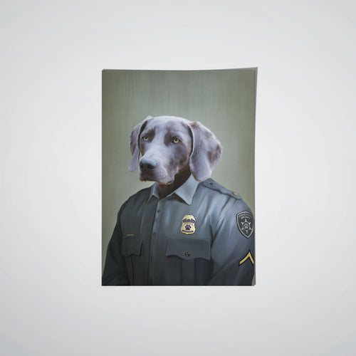 collection-meta-image