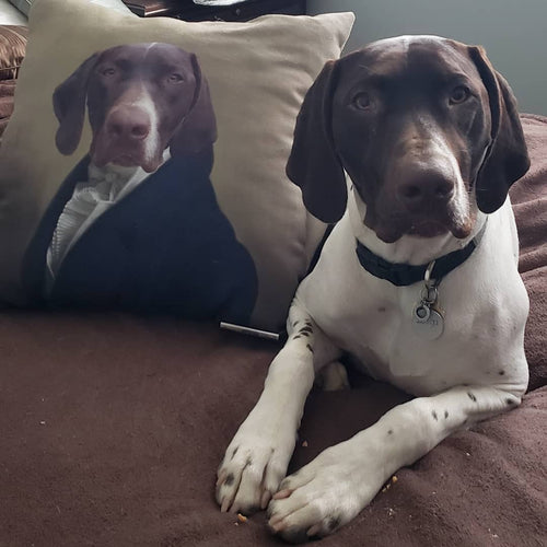 Crown and Paw - Throw Pillow The Ambassador - Custom Throw Pillow