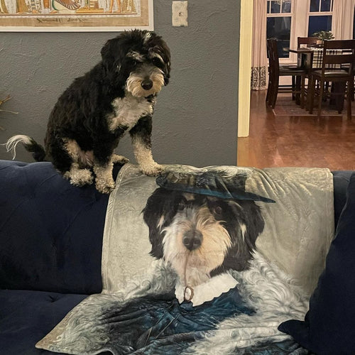 Crown and Paw - Blanket The Boa Lady - Custom Pet Blanket