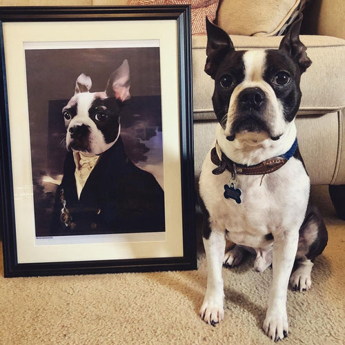 Crown and Paw - Poster The Count - Custom Pet Poster