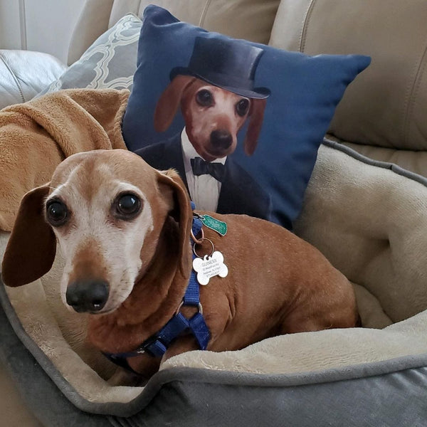 The Gentleman - Custom Throw Pillow