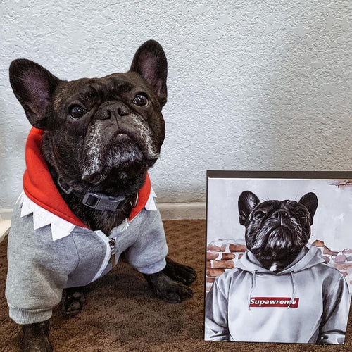 Crown and Paw - Canvas The Hypebeast - Custom Pet Canvas