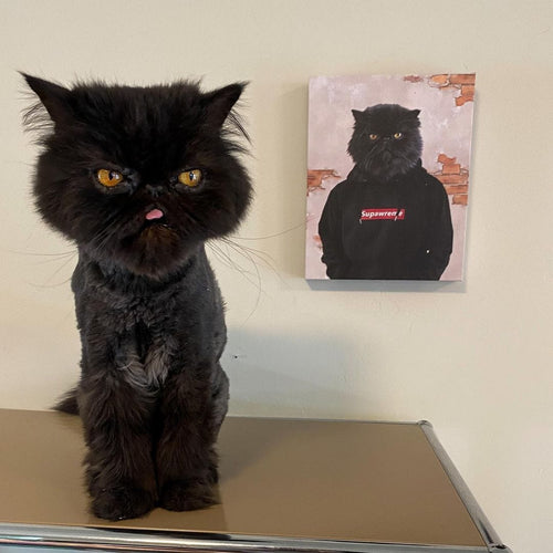 Crown and Paw - Canvas The Hypebeast - Custom Pet Canvas 8" x 10" / Black