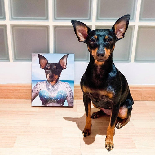 Crown and Paw - Canvas The Mermaid - Custom Pet Canvas